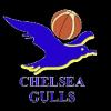 https://img.zhizhuzhibot.com.cn/img/basketball/team/0d36b73786230e17d7d718ab10adab87.png