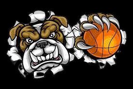https://img.zhizhuzhibot.com.cn/img/basketball/team/22024baa83ba58349662656ac0ced9c6.png