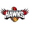 https://img.zhizhuzhibot.com.cn/img/basketball/team/4eceaeddae174577aa2aed681907c7f7.png