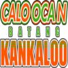 https://img.zhizhuzhibot.com.cn/img/basketball/team/8f4f7a4d7dffd7785640d9ce2d429aa8.png