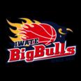https://img.zhizhuzhibot.com.cn/img/basketball/team/bcb478f91fa9177647848bc08ccc209c.png