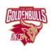 https://img.zhizhuzhibot.com.cn/img/basketball/team/d1d77f07287fe840a7e77459e5bd1bfc.png