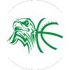 https://img.zhizhuzhibot.com.cn/img/basketball/team/d69599128896984f9b35ae8610dab3d7.png