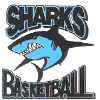 https://img.zhizhuzhibot.com.cn/img/basketball/team/fc6632a794e74357912e097eadf99a17.png