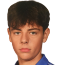 https://img.zhizhuzhibot.com.cn/img/football/player/085143acca82acaa9854fe2485376d5e.png