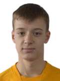 https://img.zhizhuzhibot.com.cn/img/football/player/12f09bbfdcf6c86a703655091c38d646.png