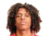 https://img.zhizhuzhibot.com.cn/img/football/player/135ad8787fd13961a93e165e79e736ff.png