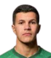 https://img.zhizhuzhibot.com.cn/img/football/player/16b124055082fc8f6781e435c96936b2.png