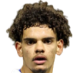 https://img.zhizhuzhibot.com.cn/img/football/player/19198e45f81a0add4651fdb6197a3d8c.png