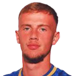 https://img.zhizhuzhibot.com.cn/img/football/player/1ea502df31a0fd652a9f6c4223713521.png