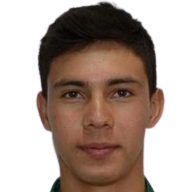 https://img.zhizhuzhibot.com.cn/img/football/player/268781c2fb70b0ac17e54c3d0d0416e0.png