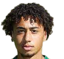https://img.zhizhuzhibot.com.cn/img/football/player/347a6d58ae7ec0425a4d42bc9215c411.png
