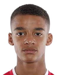https://img.zhizhuzhibot.com.cn/img/football/player/36ffb830d16dba074b96e5c8c1a2608f.png