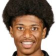 https://img.zhizhuzhibot.com.cn/img/football/player/46661dffe14fc6c7dffff130d834ee58.png