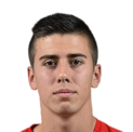 https://img.zhizhuzhibot.com.cn/img/football/player/58ea8201b780d463ed9d9c54005a6969.png