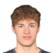 https://img.zhizhuzhibot.com.cn/img/football/player/59309aea4d4e3d14e8246c96789a72db.png