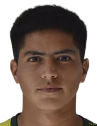 https://img.zhizhuzhibot.com.cn/img/football/player/593ada0d7956416c62dcbb7289ee303b.png