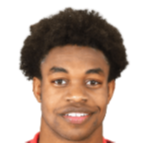 https://img.zhizhuzhibot.com.cn/img/football/player/64aea37ce0103535429e307ff7cca0e6.png