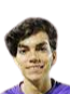 https://img.zhizhuzhibot.com.cn/img/football/player/79c3a041737923f2795a82fbe6dd8fd1.png