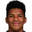 https://img.zhizhuzhibot.com.cn/img/football/player/8fdab7fd950d9cea715ebc11d2b59b72.png