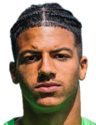 https://img.zhizhuzhibot.com.cn/img/football/player/9d19e8105f21de966d2bd3d37a69a199.png