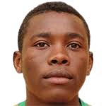 https://img.zhizhuzhibot.com.cn/img/football/player/9f8a0b7802d357d808189f1d34221271.png
