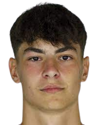 https://img.zhizhuzhibot.com.cn/img/football/player/9fd725e2a65792eee1a2c1869ea9c684.png