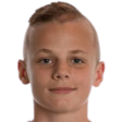 https://img.zhizhuzhibot.com.cn/img/football/player/abe497830979567d83ab72ba5e7410f5.png