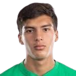 https://img.zhizhuzhibot.com.cn/img/football/player/b5893eb52c989f3ec99c4b26900ac313.png