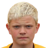 https://img.zhizhuzhibot.com.cn/img/football/player/c48577738a9393283236f64b3f1370c4.png