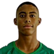 https://img.zhizhuzhibot.com.cn/img/football/player/cd5cce83a7575c862c2027e7a25a00cc.png