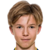 https://img.zhizhuzhibot.com.cn/img/football/player/d3b1418f21a251dde65cfbab8bcef33c.png
