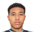https://img.zhizhuzhibot.com.cn/img/football/player/d7bc71cad19fb7019c0a27186d554ad5.png