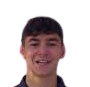 https://img.zhizhuzhibot.com.cn/img/football/player/e1cb6ba87697e4879f3be7219cd936cb.png