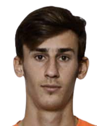 https://img.zhizhuzhibot.com.cn/img/football/player/e73988aa05d0368ad9276ae665958ea3.png