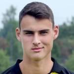 https://img.zhizhuzhibot.com.cn/img/football/player/e8ea079e6691ceb8cf78c835ca191fb1.png