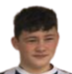https://img.zhizhuzhibot.com.cn/img/football/player/e907d41fb4fc3798f1e08649b2451dc7.png