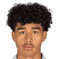 https://img.zhizhuzhibot.com.cn/img/football/player/f07b040db42157ac0f5955af9744f895.png