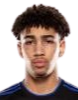 https://img.zhizhuzhibot.com.cn/img/football/player/fb7fd3390bdc25307ce54843fe6472dd.png