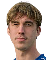 https://img.zhizhuzhibot.com.cn/img/football/player/fce9c953f305f851b326863389773fd6.png