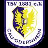 https://img.zhizhuzhibot.com.cn/img/football/team/0425718c842cc1330a6507bdde3c1da4.png