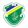 https://img.zhizhuzhibot.com.cn/img/football/team/079dd394cc2355231bb0aee65bd140a2.png