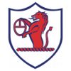 https://img.zhizhuzhibot.com.cn/img/football/team/11fb72f7b5eacfc881ee11bac75871fa.png