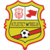 https://img.zhizhuzhibot.com.cn/img/football/team/1cd995bdc2b652d31129d027afb27ed8.png