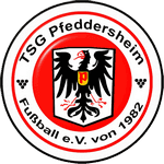 https://img.zhizhuzhibot.com.cn/img/football/team/24bdcadb4a4d2f906720e31f3e24db32.png