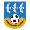 https://img.zhizhuzhibot.com.cn/img/football/team/259a1106a33b56d2bb3c458a62ffa2ea.png