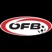 https://img.zhizhuzhibot.com.cn/img/football/team/4bec753c4cc2101cd2df5a103b29eda2.png