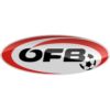 https://img.zhizhuzhibot.com.cn/img/football/team/be70130b180875a576e98a5a33c8238a.png