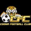 https://img.zhizhuzhibot.com.cn/img/football/team/cc4189282b08b40c695ca3fea36178c2.png