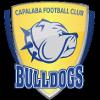 https://img.zhizhuzhibot.com.cn/img/football/team/da8bfcabb427caa8c01fbb244a1f77aa.png